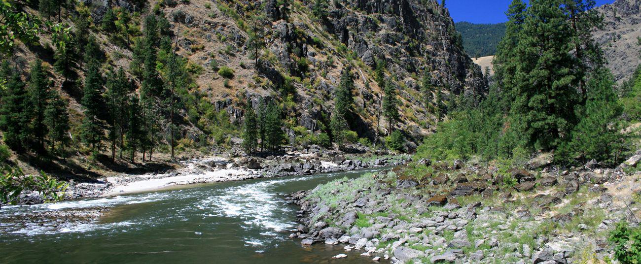 The Salmon River near Riggins, ID