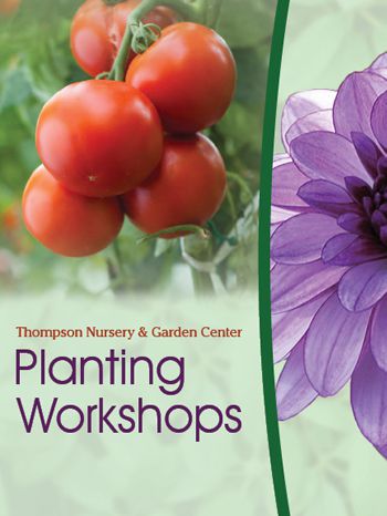 Thompson Nursery & Garden Center Brochure | JT Design