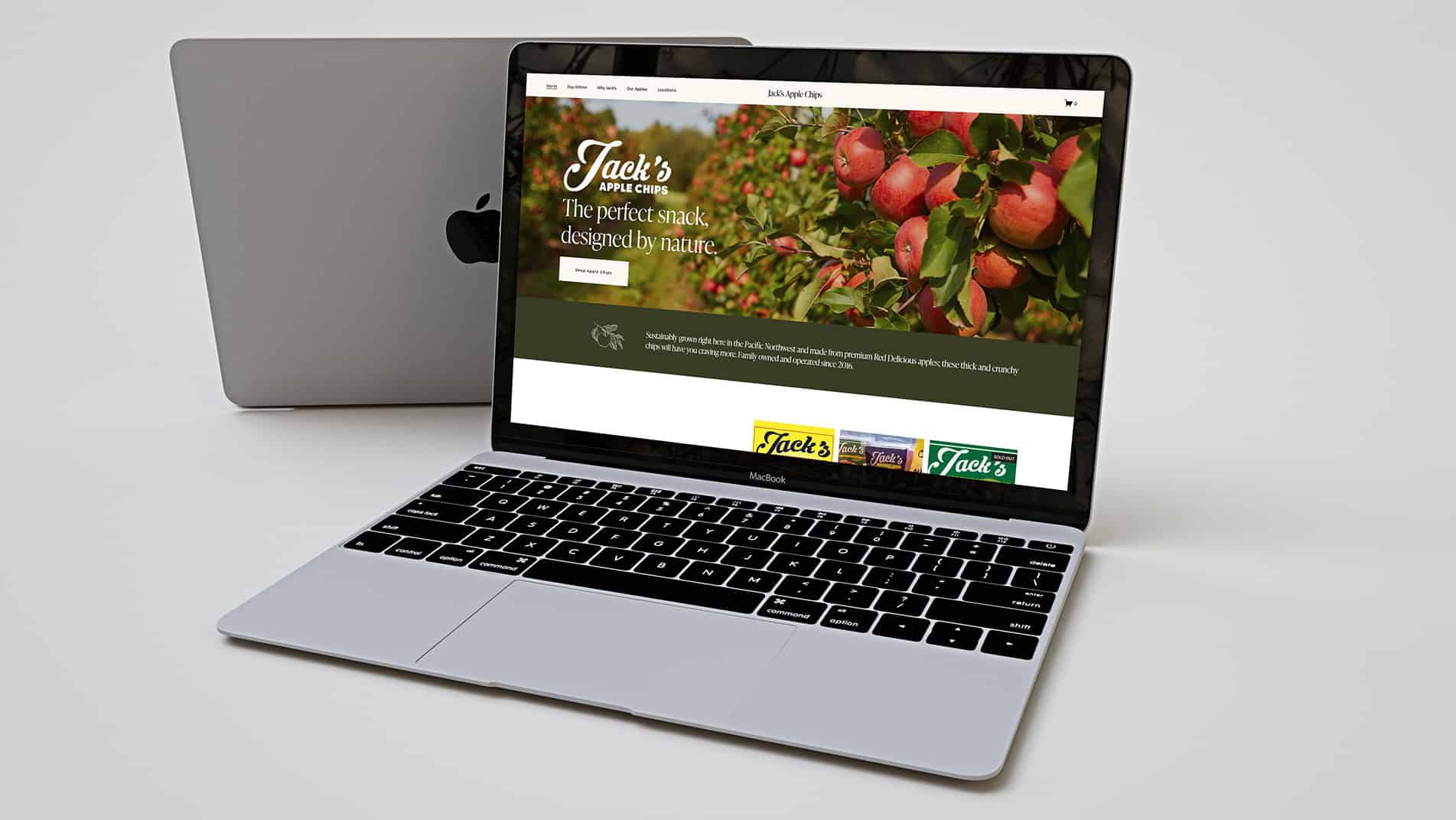Jack's Apple Chips website mockup