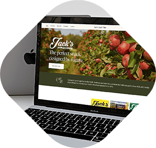 Jack's Apple Chips Squarespace website thumbnail